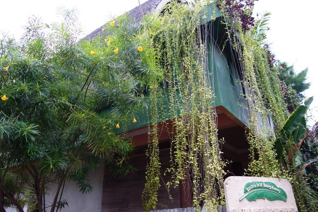 Banana Leaf Bungalow Gili Trawangan Exterior foto